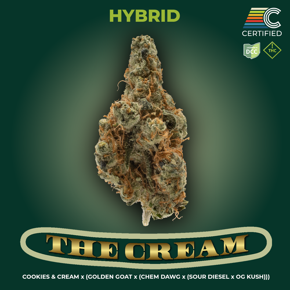 The Cream Strain | Hybrid Cannabis Flower | CERTIFIED Cultivators